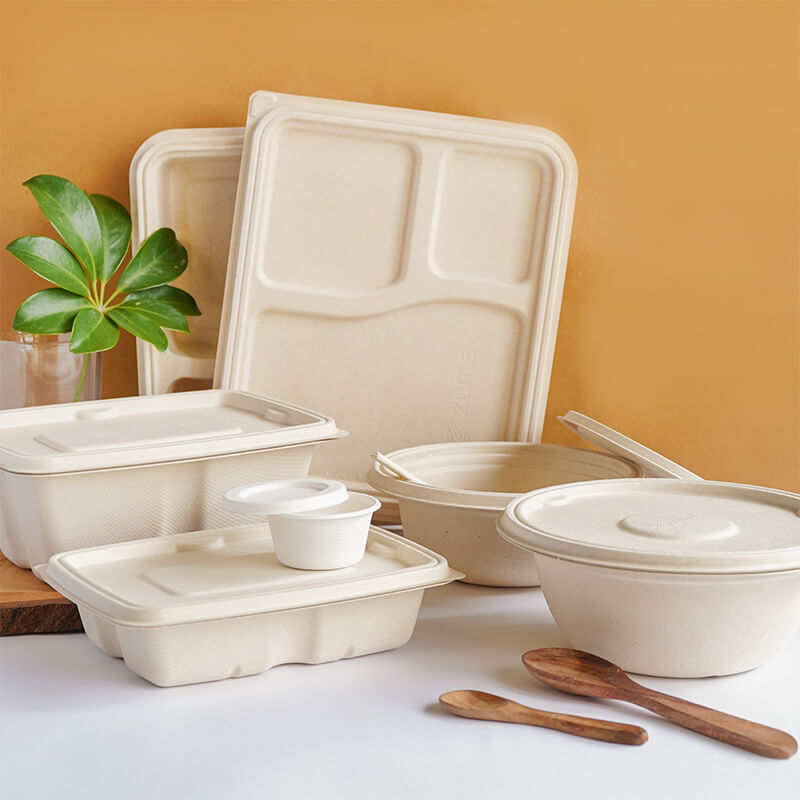 biodegradable food containers
