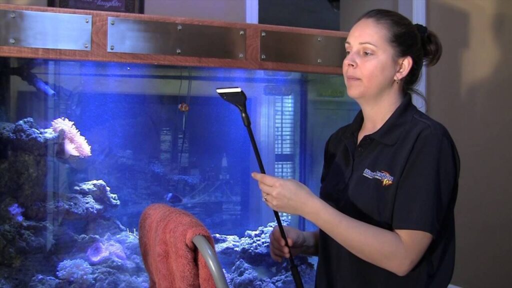 Aquarium Cleaning Services