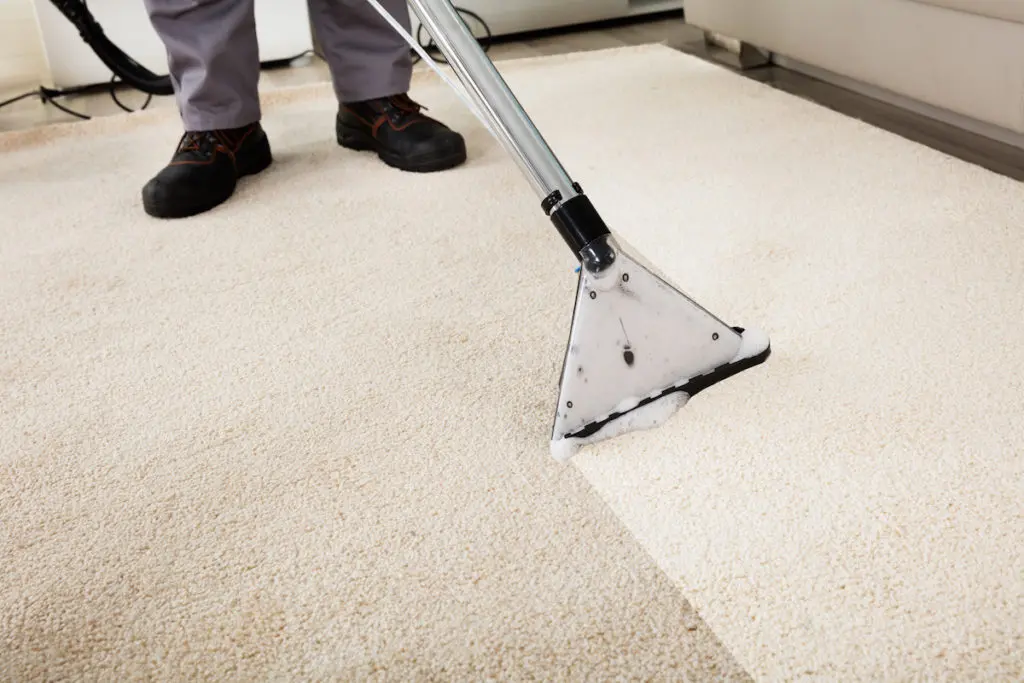 Carpet Cleaning Process