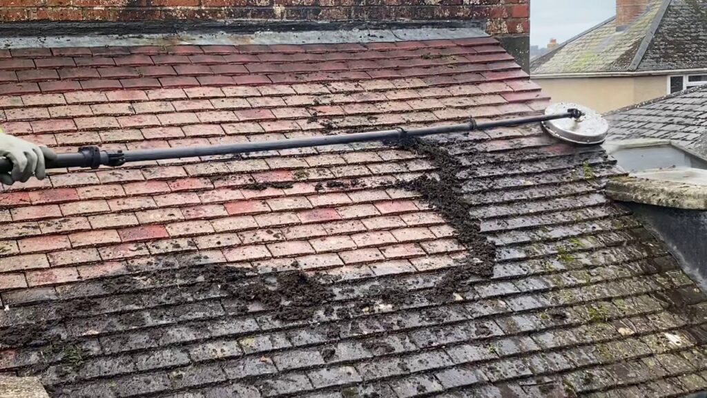 Roof Moss Removal