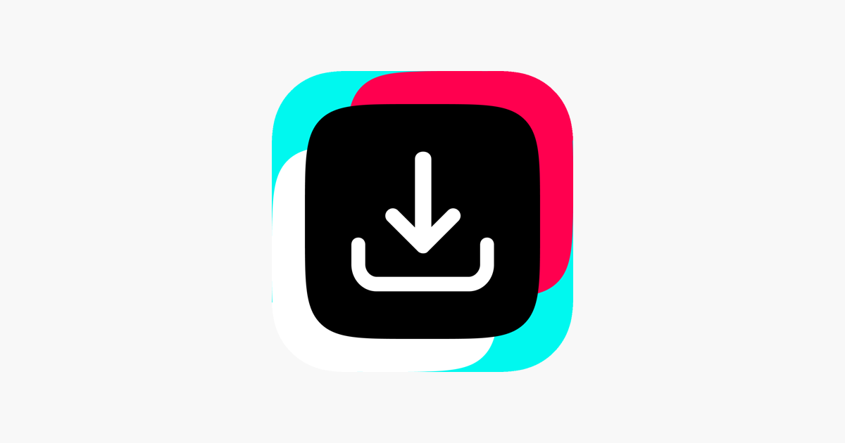 TikTok Downloader
