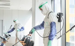 Pest Control Protects