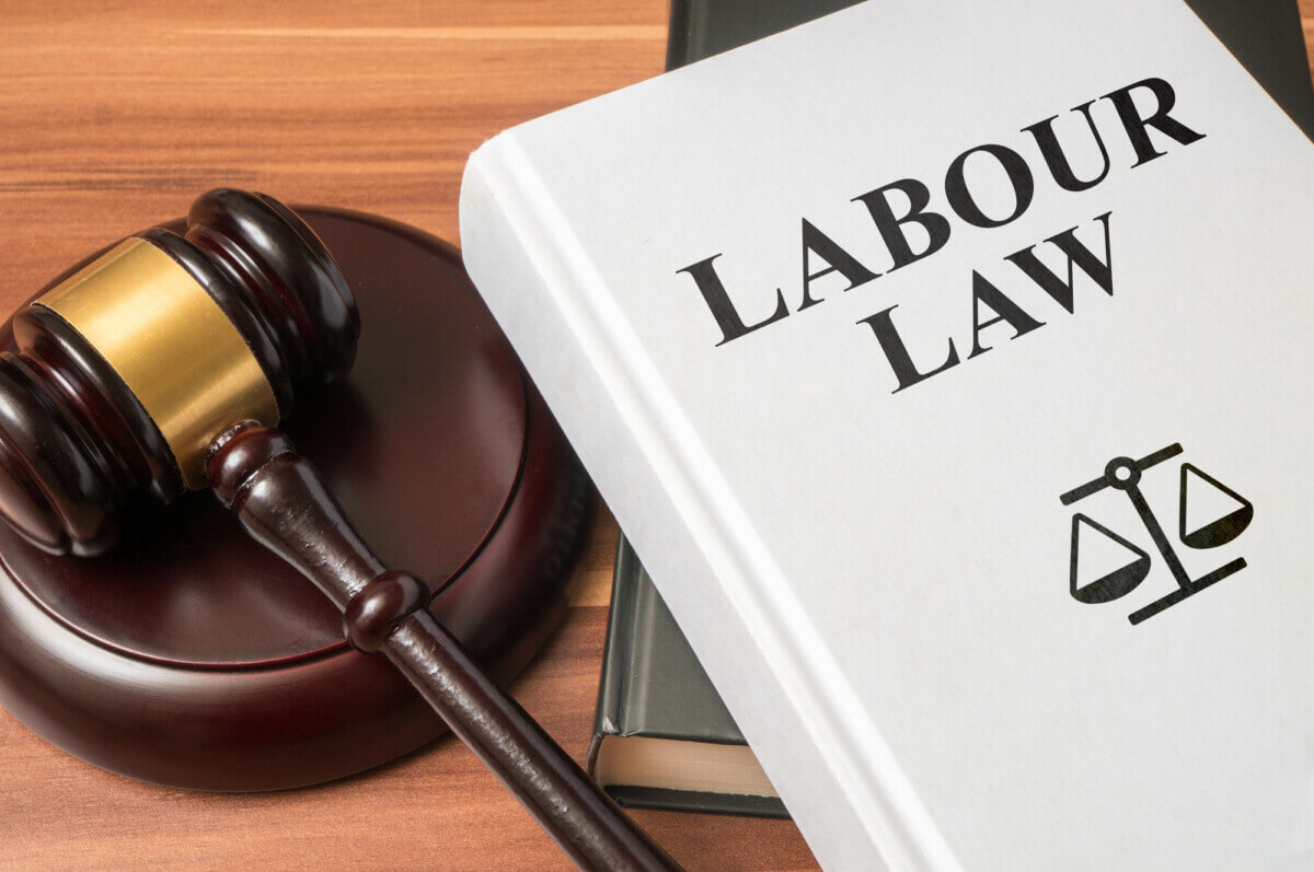 Professional Lawyer