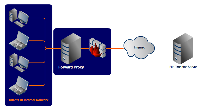 Proxy Networks